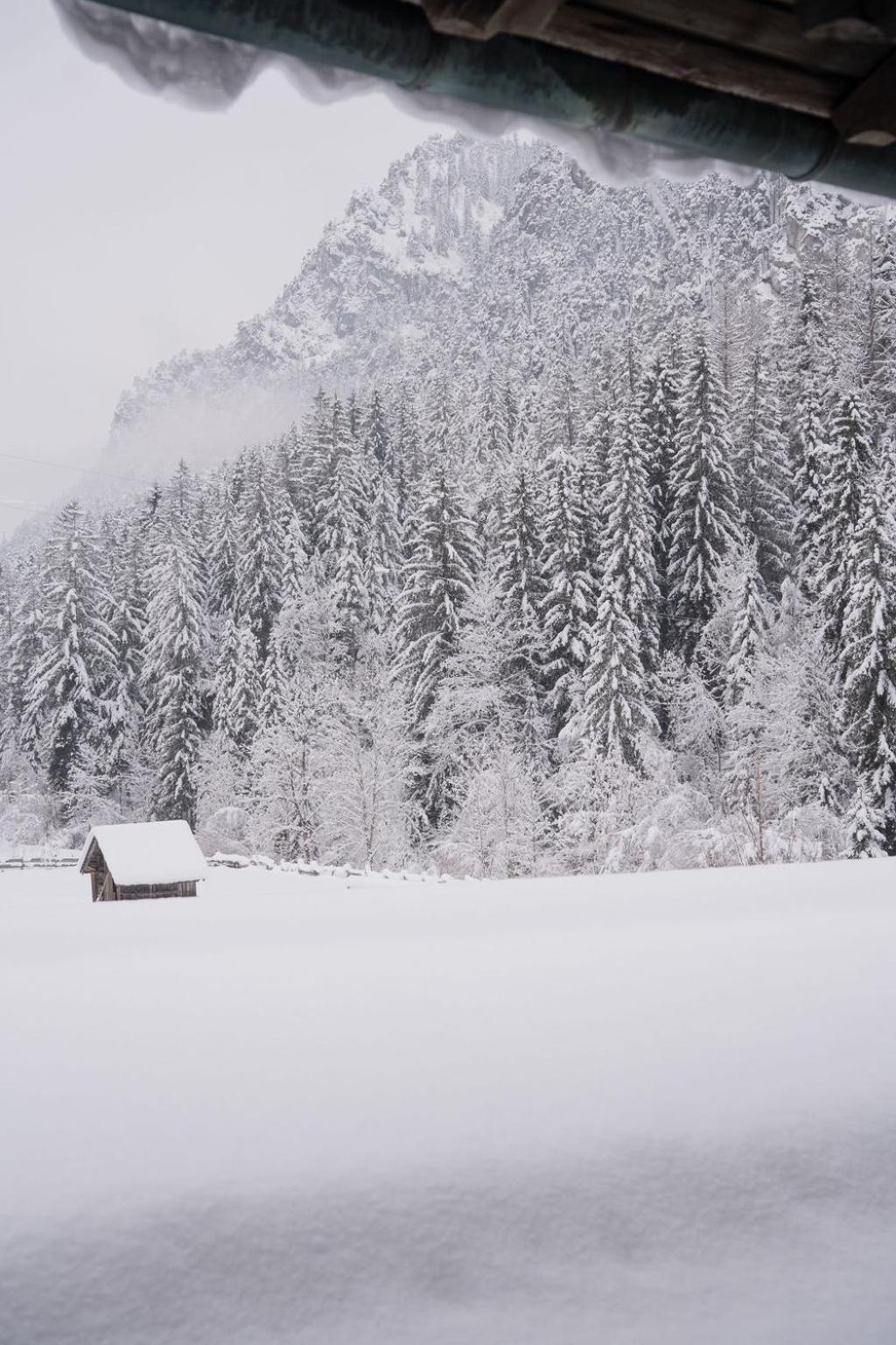 Bed & Breakfast Fruehstueckspension Auer - Haus Kargl Schladming